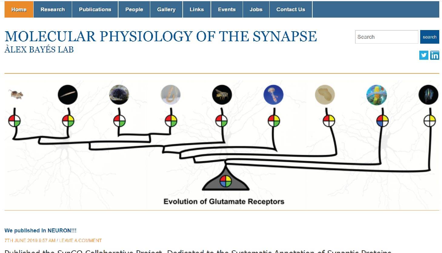 Bayés Lab